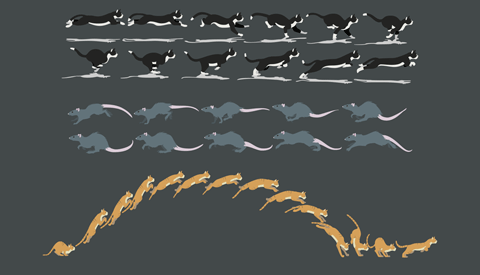 Animation